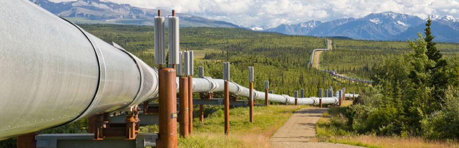 Pipeline Integrity MonitoringRMS International Reservoir Management Solutions